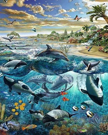 Fish and Dolphins