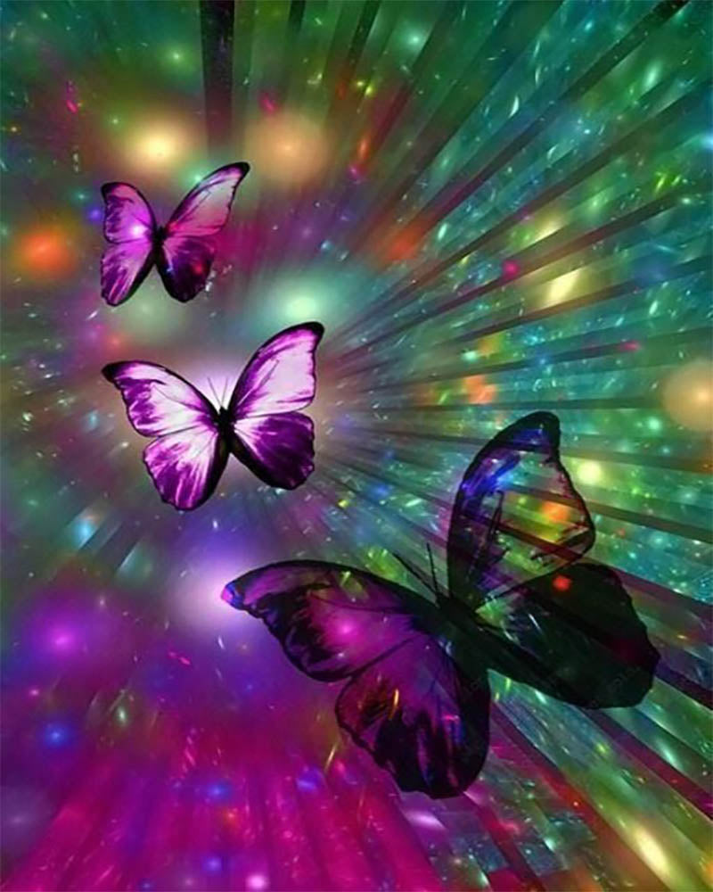 Flight of Butterflies