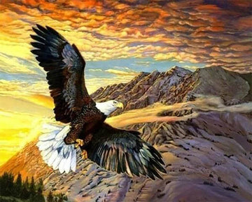 Flight of the Eagle