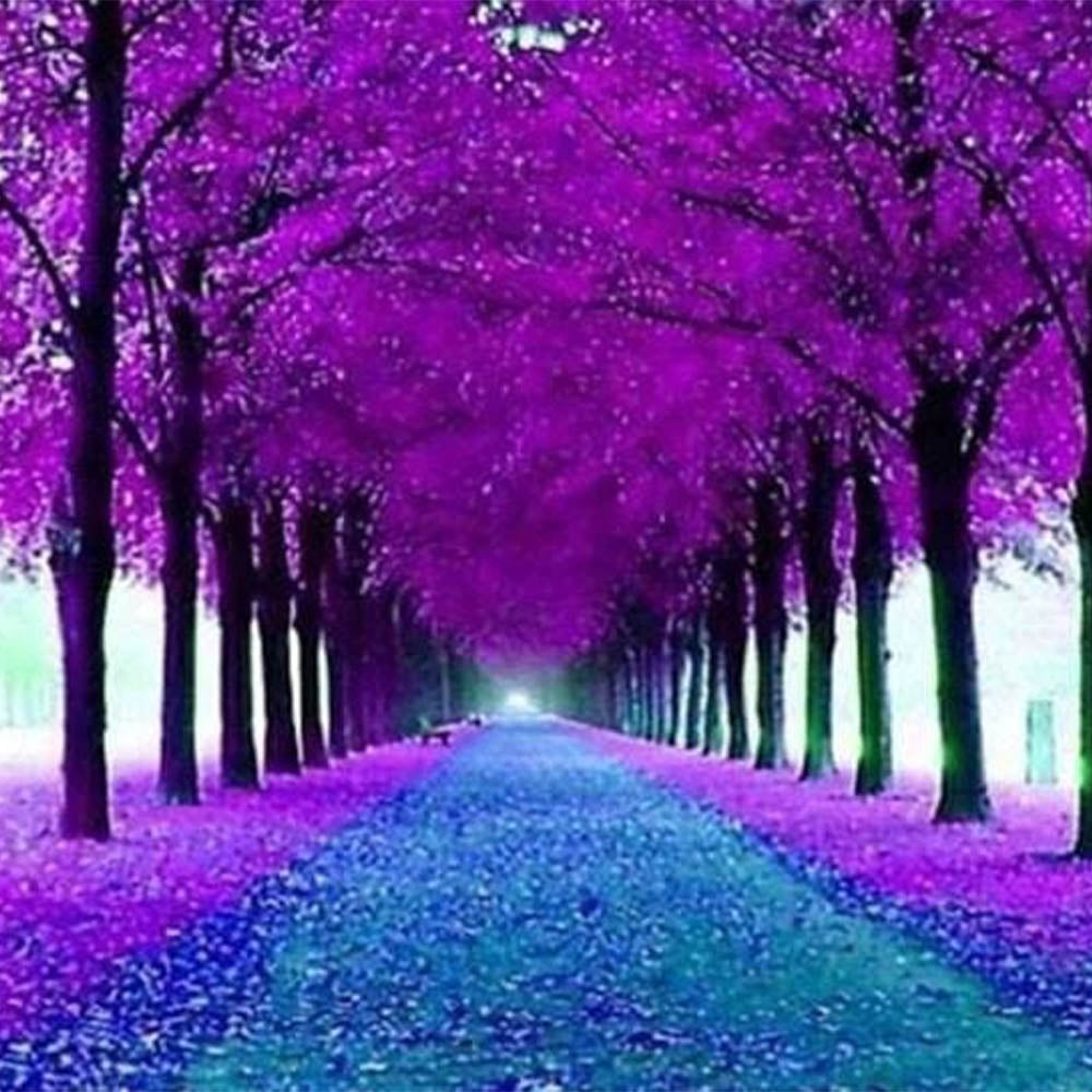 Flowered Pathway