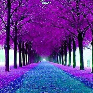 Flowered Pathway