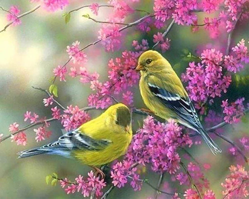 Flowering branch on Birds
