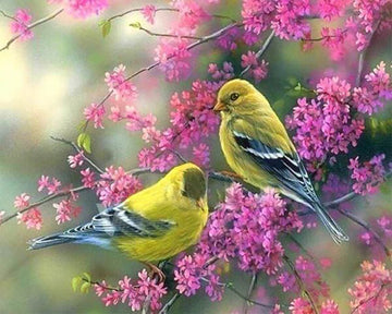 Flowering branch on Birds
