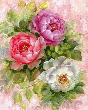 Flowers 3 colors