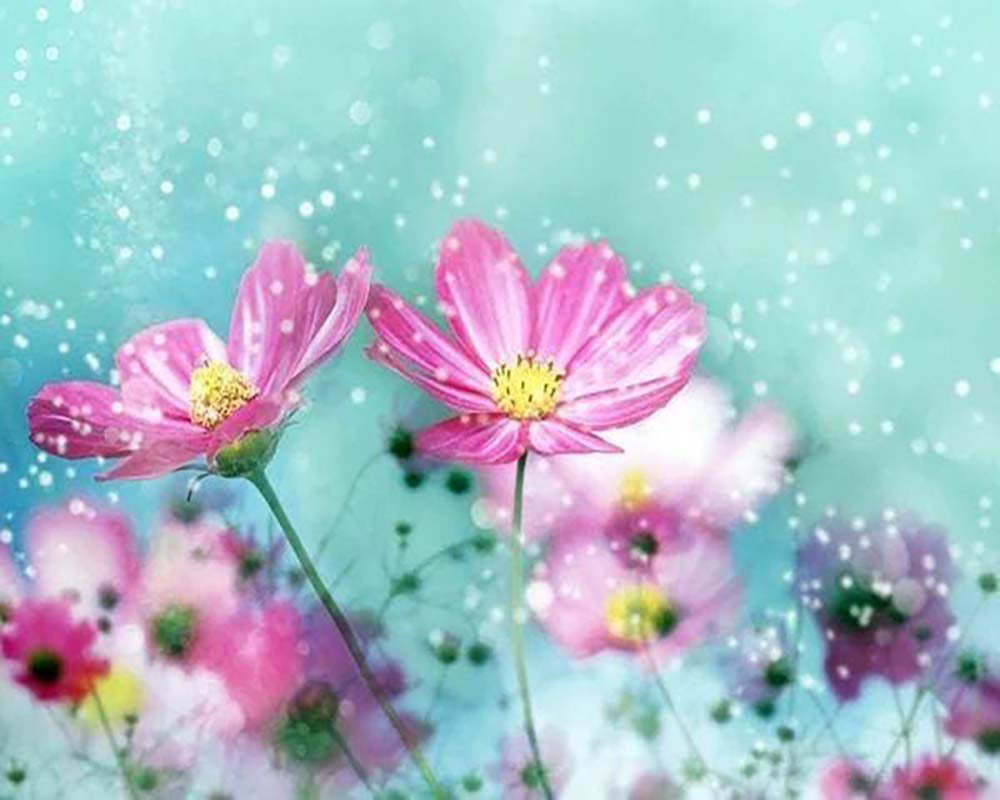 Flowers and Flakes