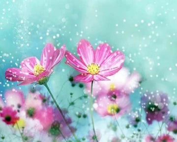 Flowers and Flakes