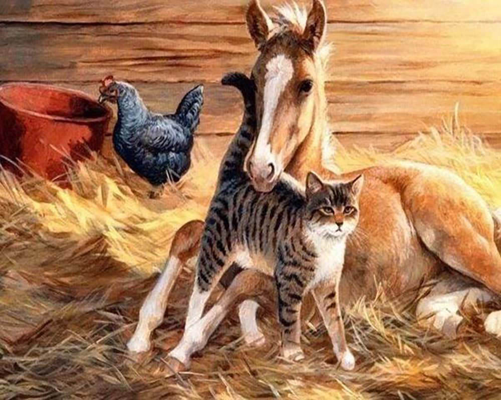 Foal and Cat