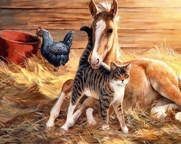 Foal and Cat