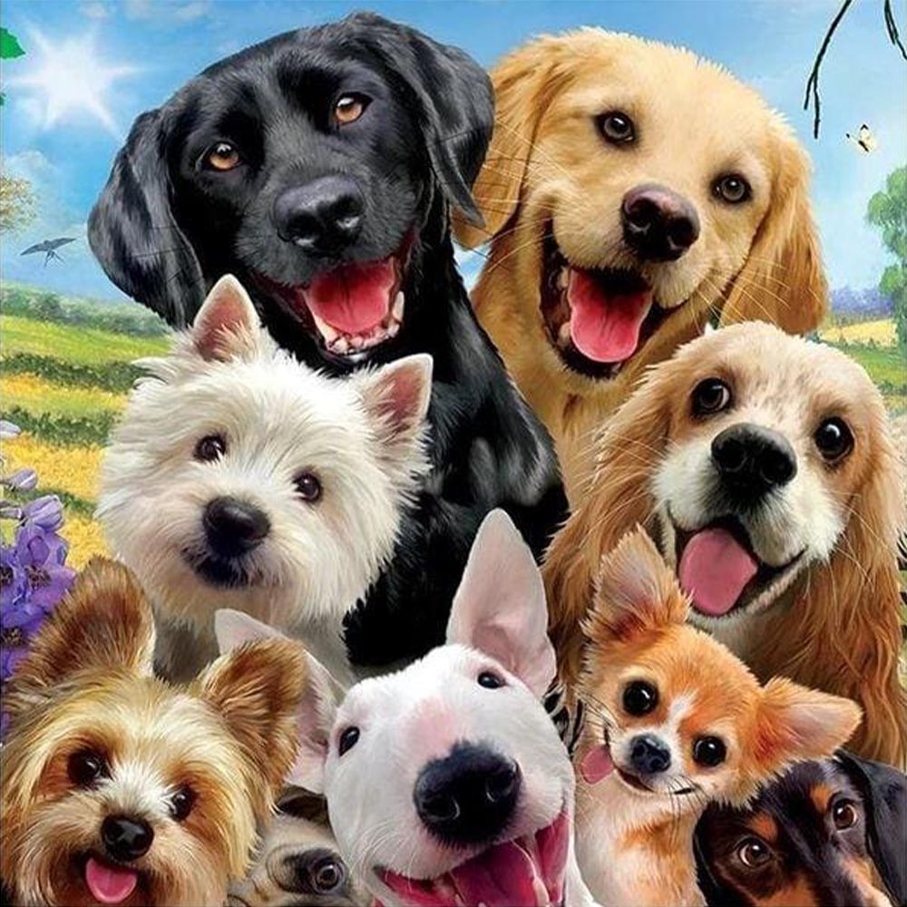 Friendly Dogs