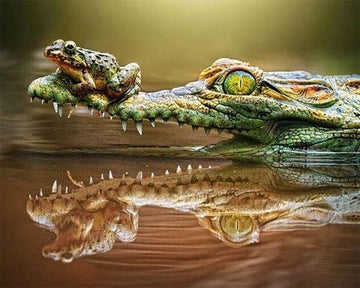 Frog and Crocodile