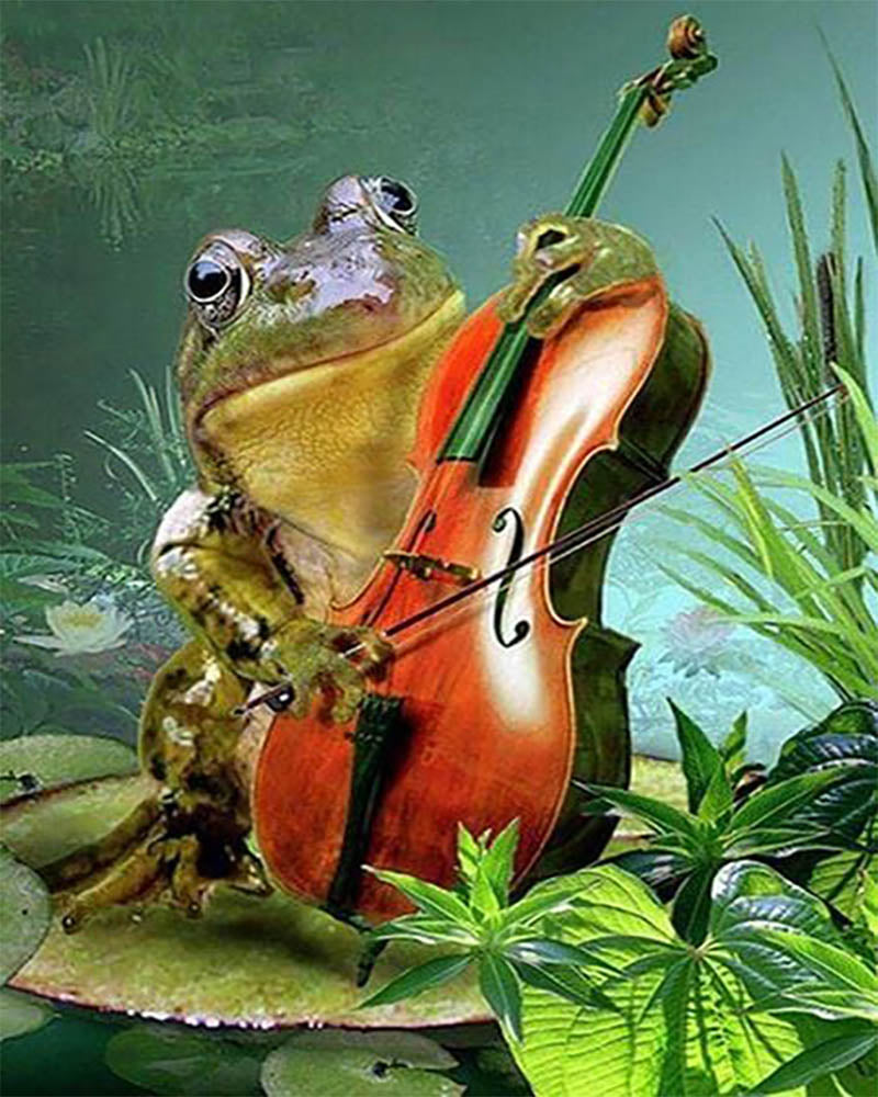Frog and Violin