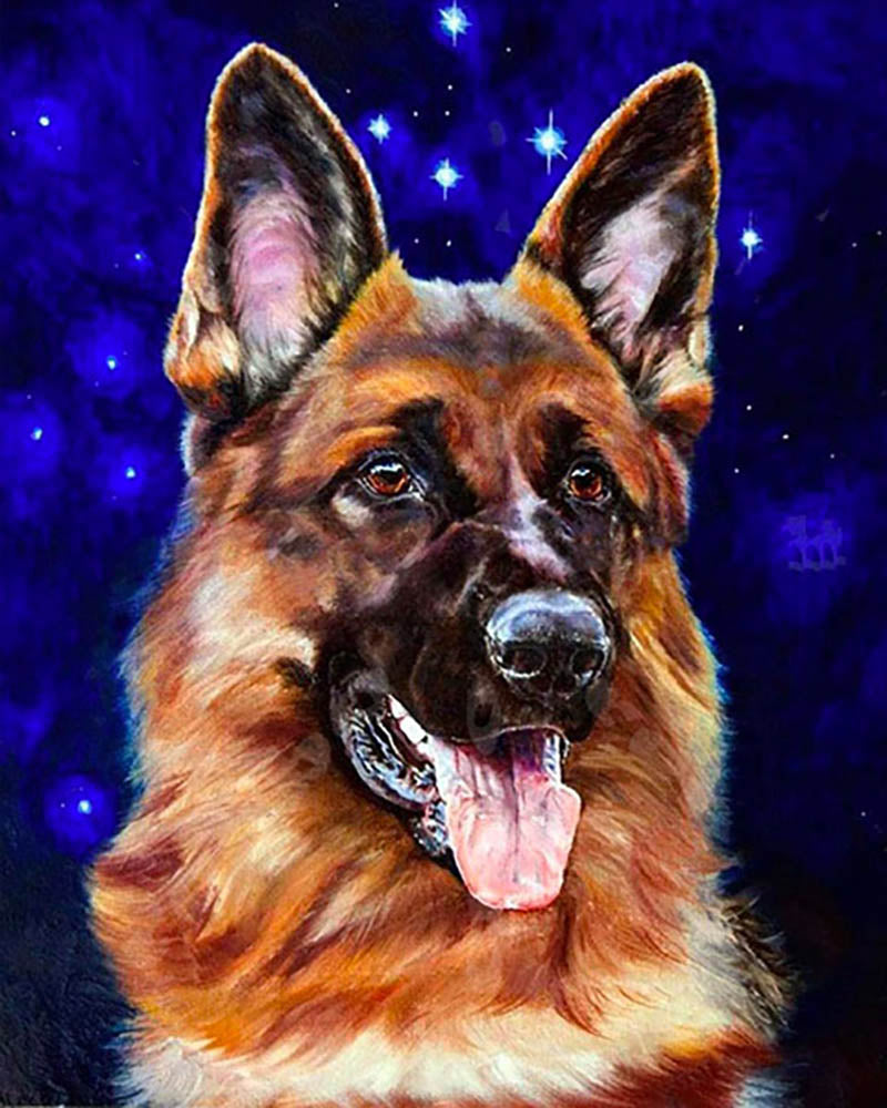 German Shepherd Dog