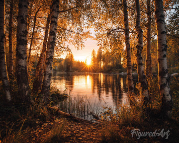 Golden Birch Lake