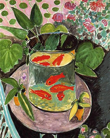 Goldfish - Matisse