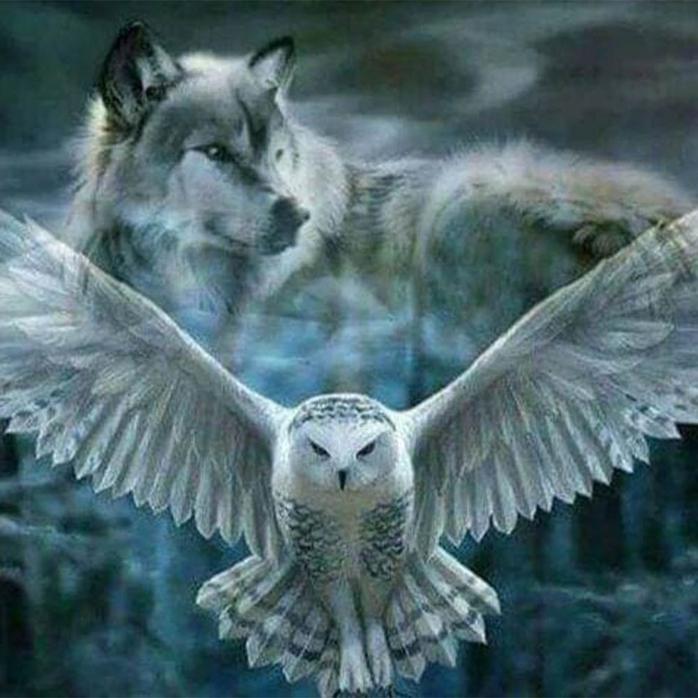 Gray Wolf and Owl