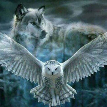 Gray Wolf and Owl
