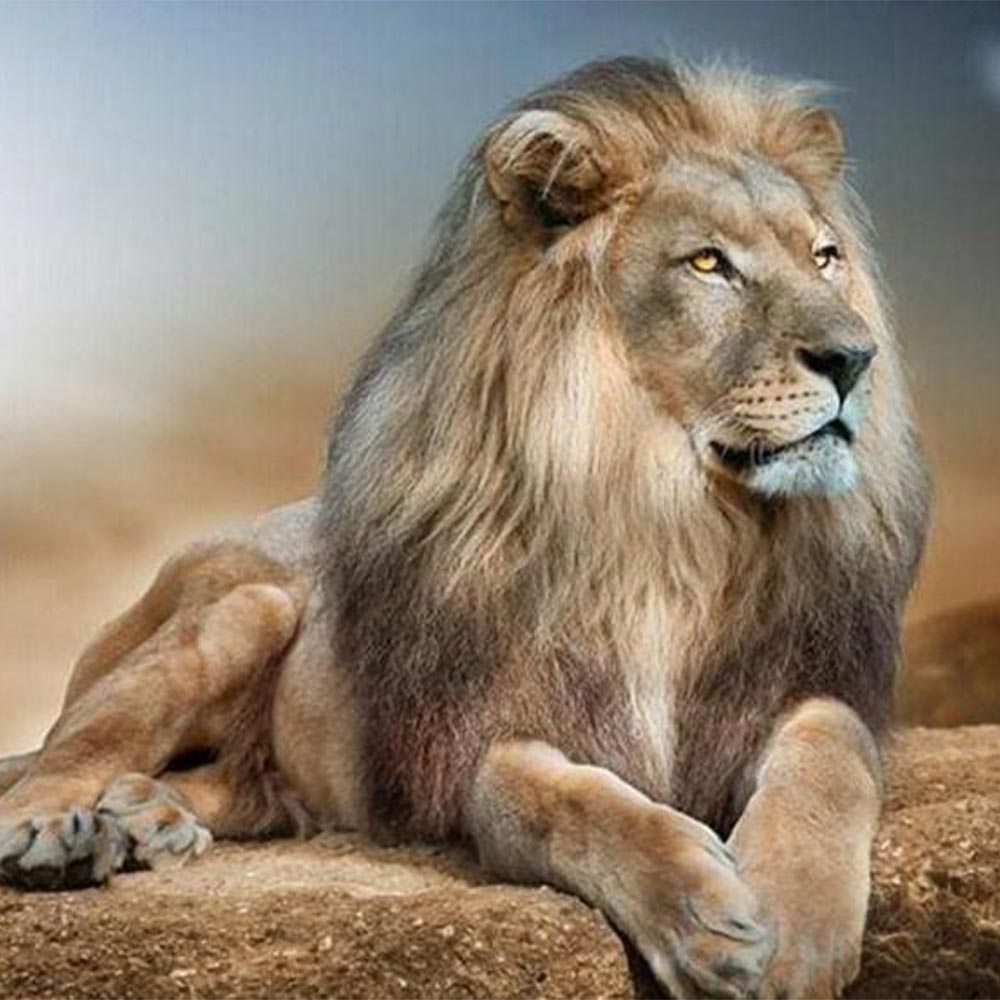 Great Lion