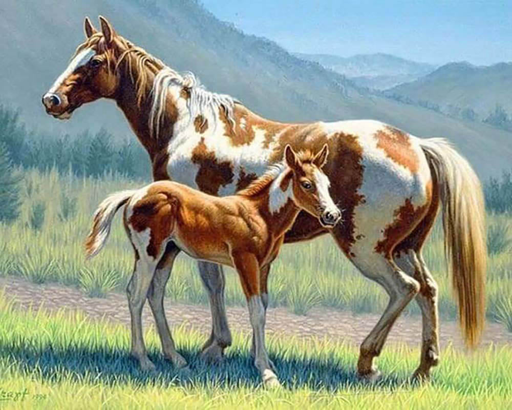 Horse and Foal