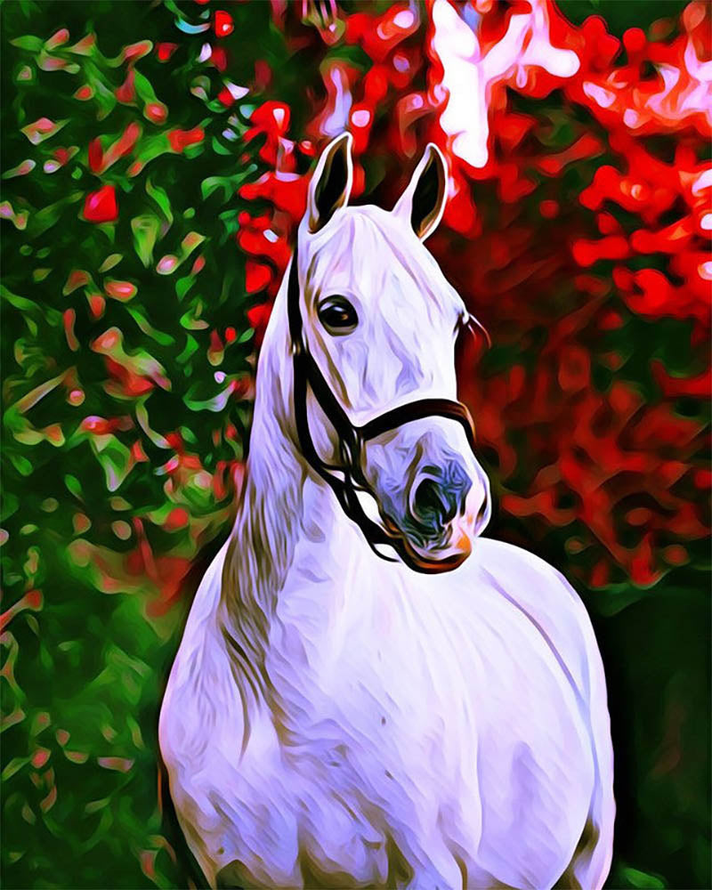 Horse and colorful background