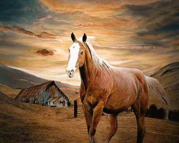 Horse at Dusk
