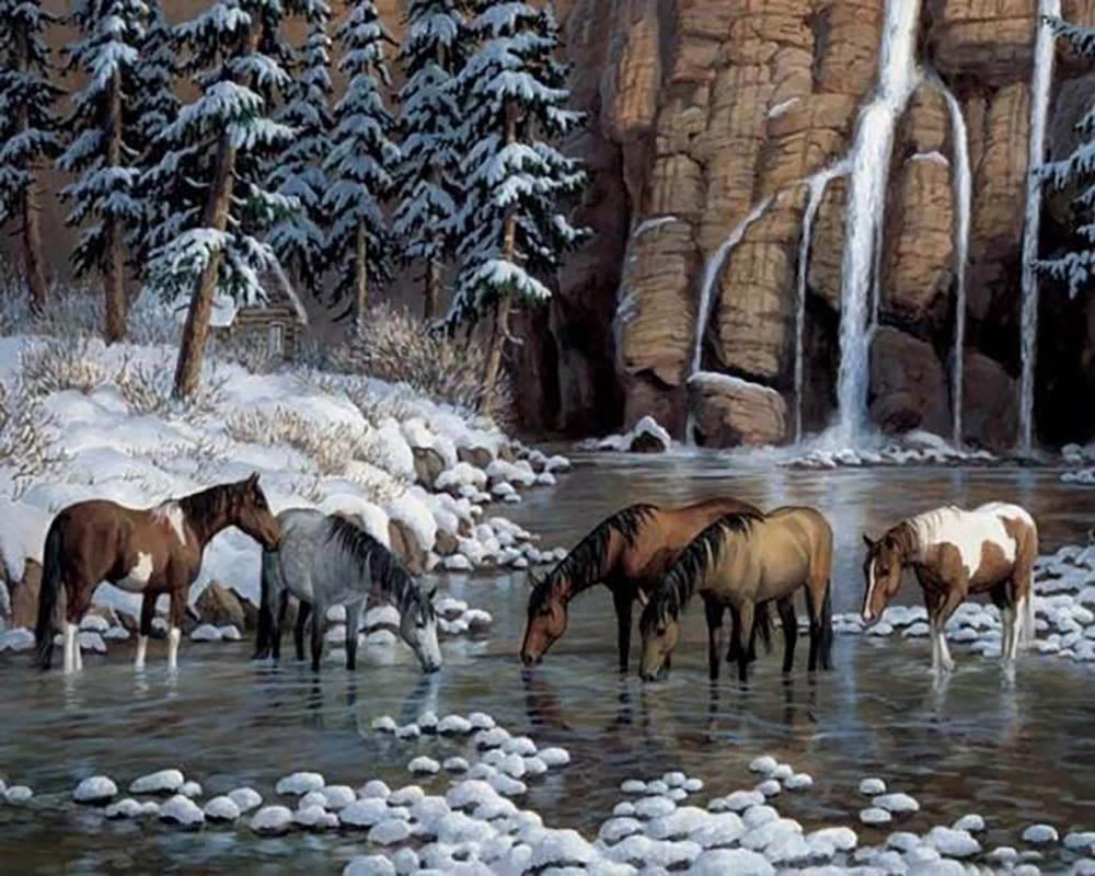 Horses in the river