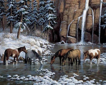 Horses in the river