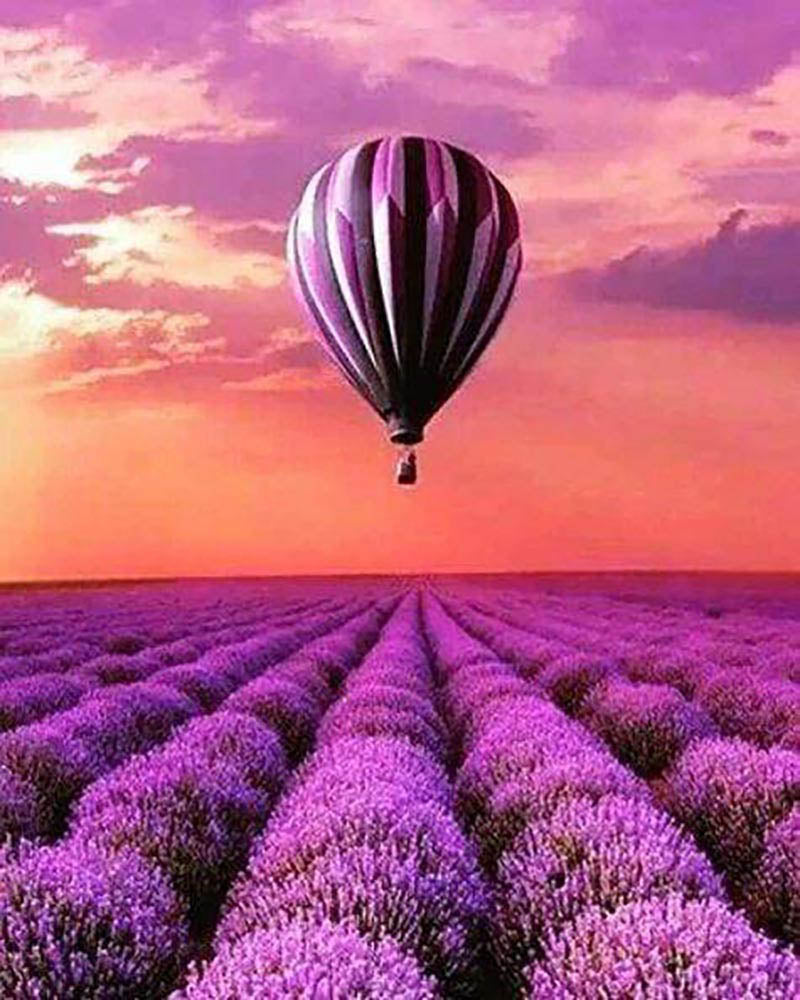 Hot Air Balloon over the fields