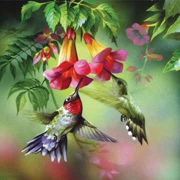 Hummingbirds