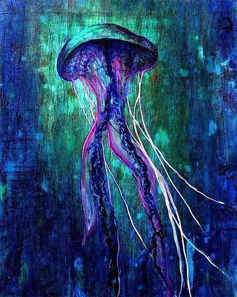 Jellyfish