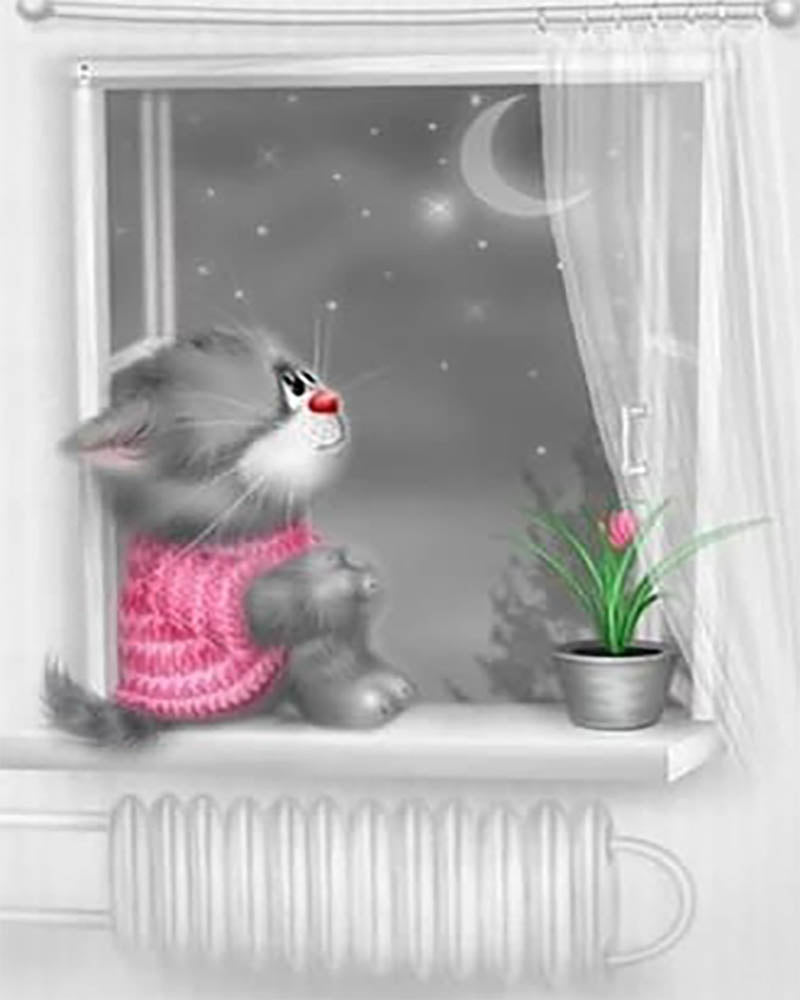 Kitten Moonlight