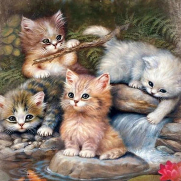 Kitten Players
