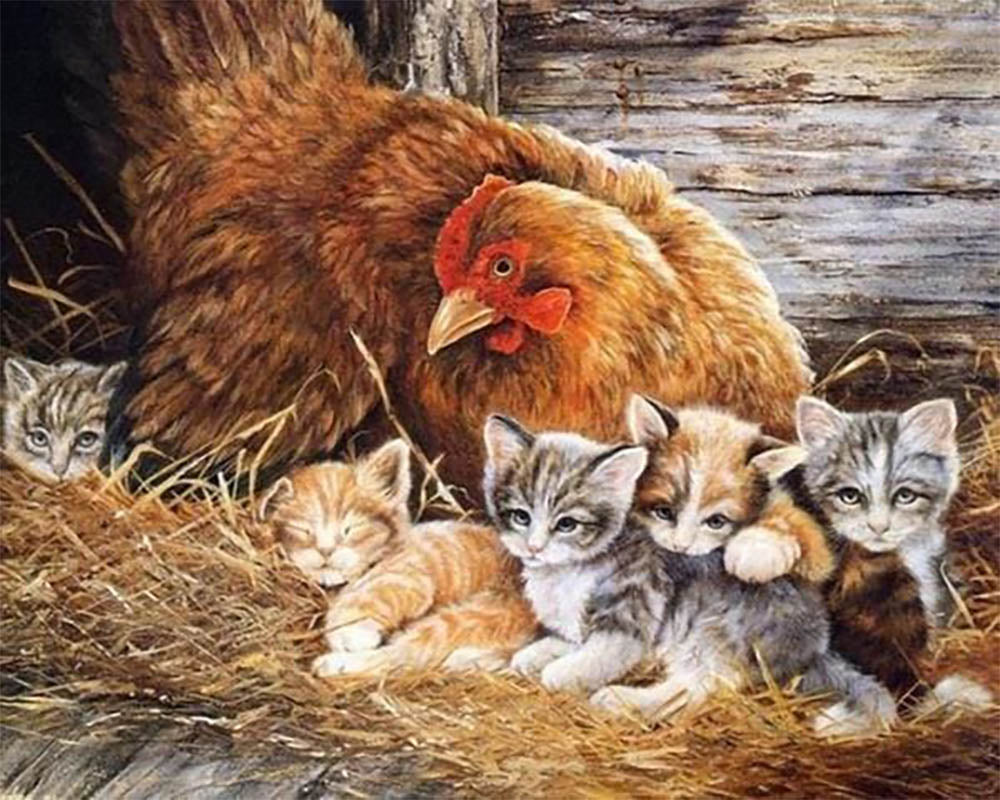 Kittens and Hen