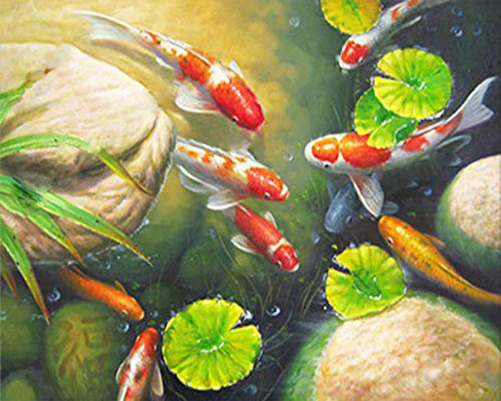 Koi Carp in a pond
