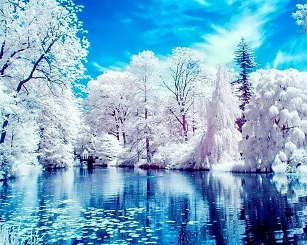 Lake in Winter