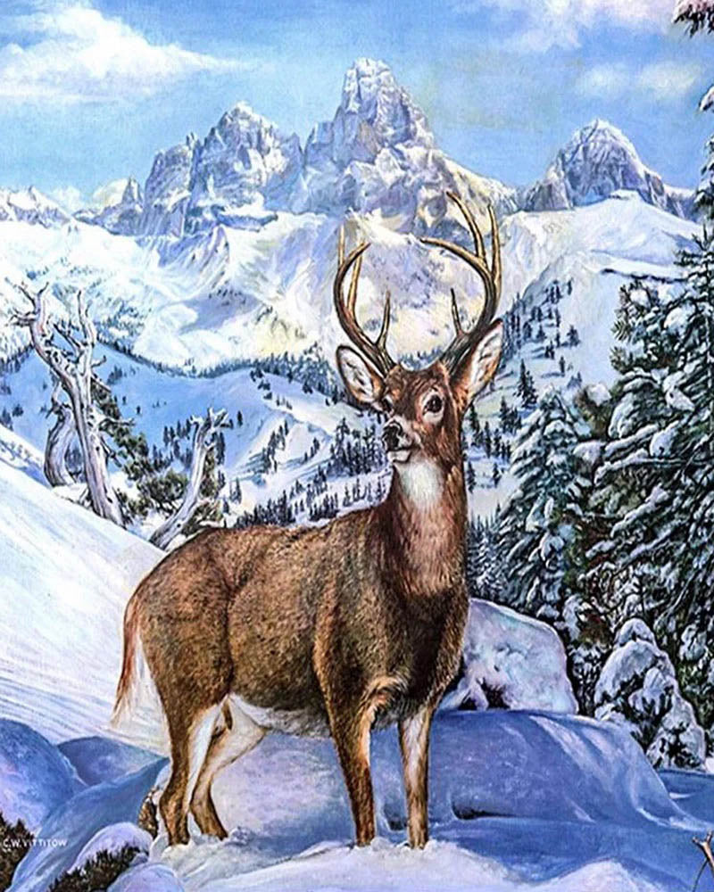 Large deer in the mountains