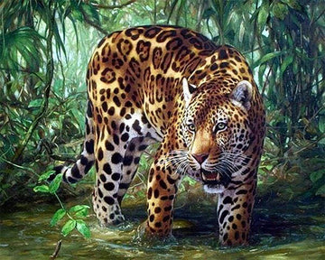 Leopard in the Jungle