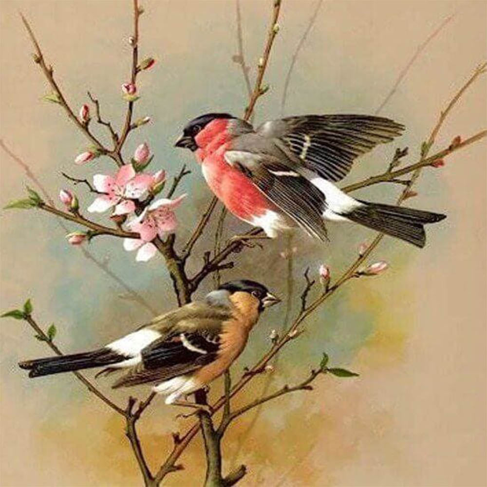 Little Bird on Branch