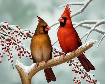 Little Birds on Branch
