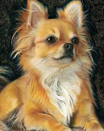 Little Red Dog