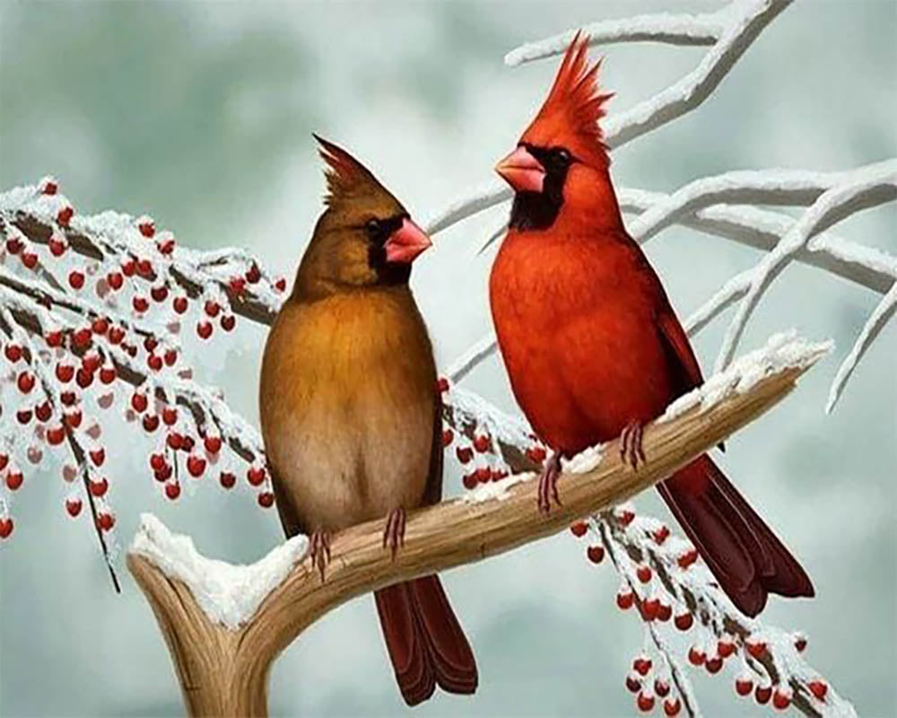 Little Tropical Birds