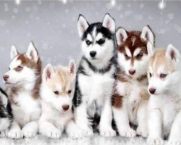 Little Wolves