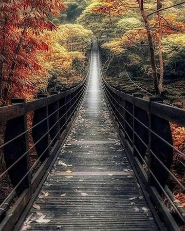 Long Way