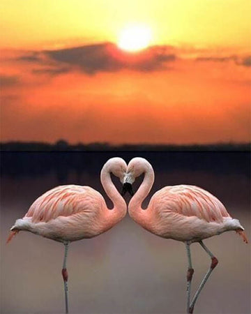 Love Flamingos