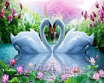 Love Swans