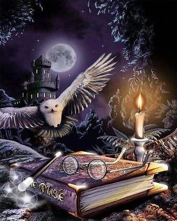 Magic Owl