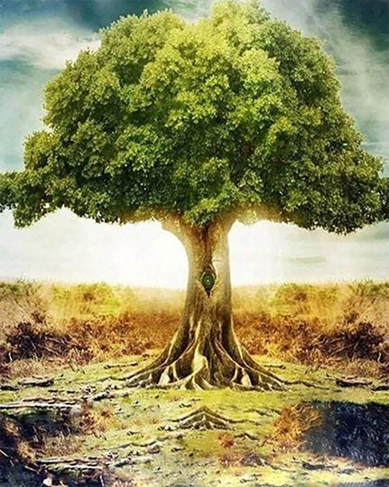 Majestic tree