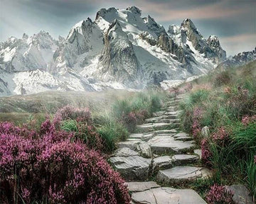 Mountain Path