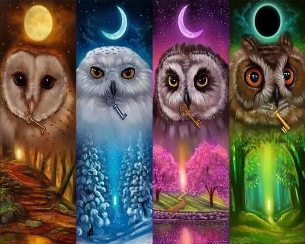 Multicolored Owls