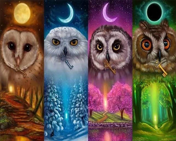 Multicolored Owls