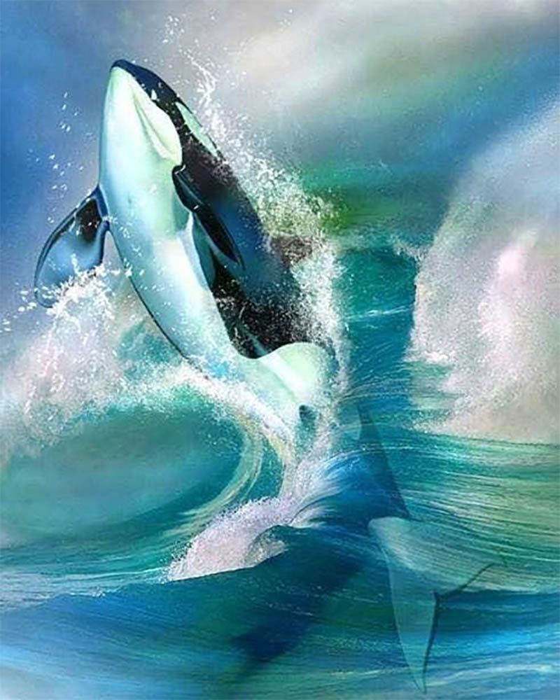 Orca